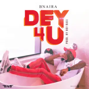 BNaira - Dey 4 U